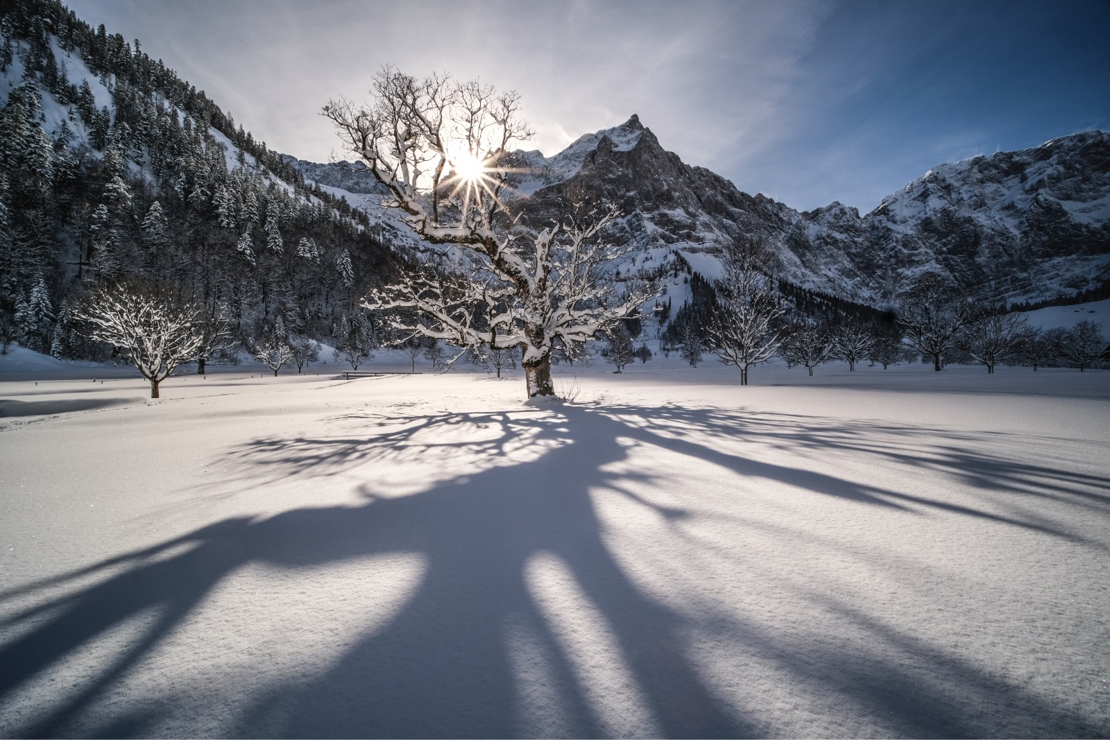 x-t4-gallery_07-1