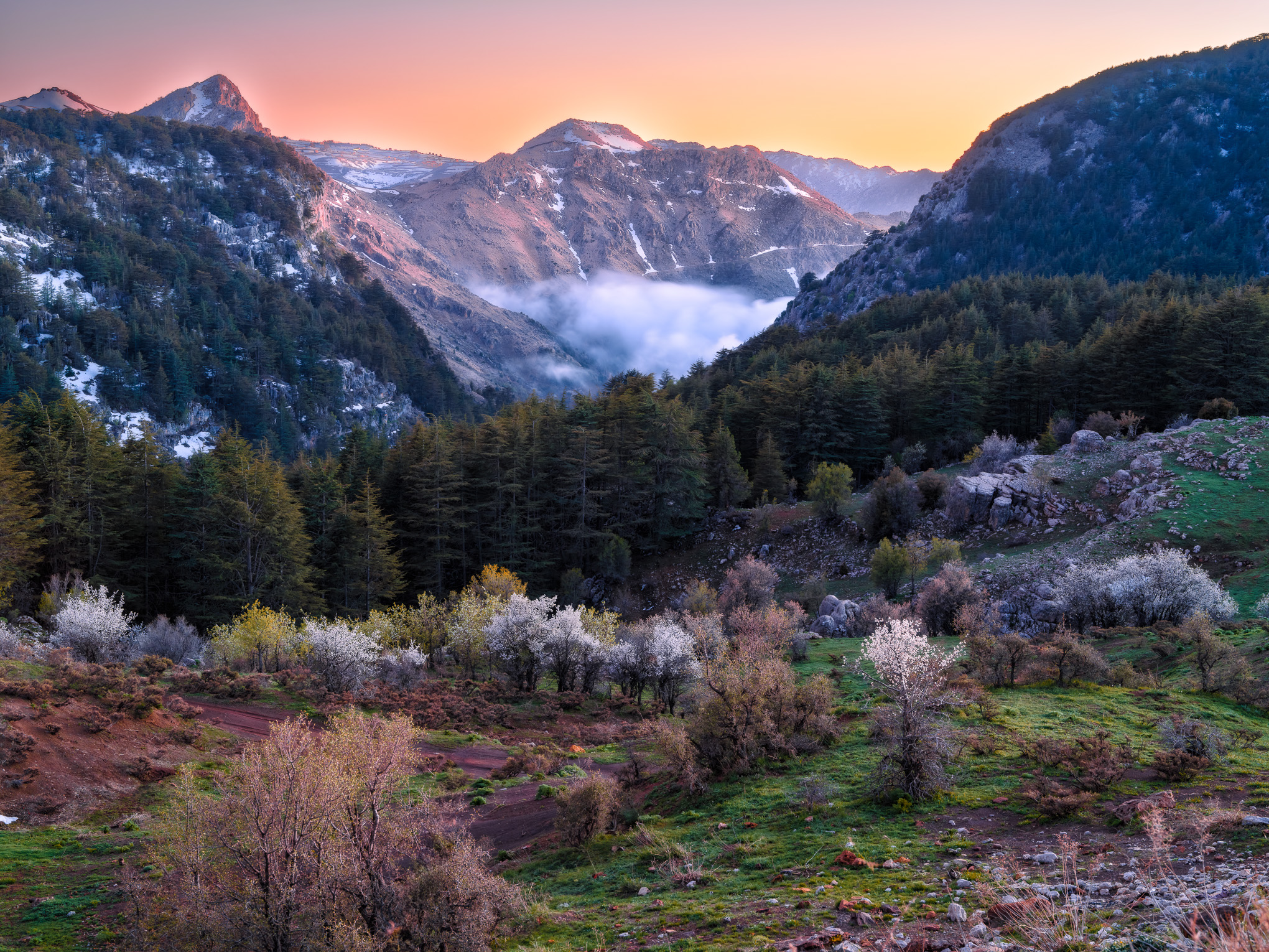 Chalhoub FUJIFILM X GFX Middle East & Africa