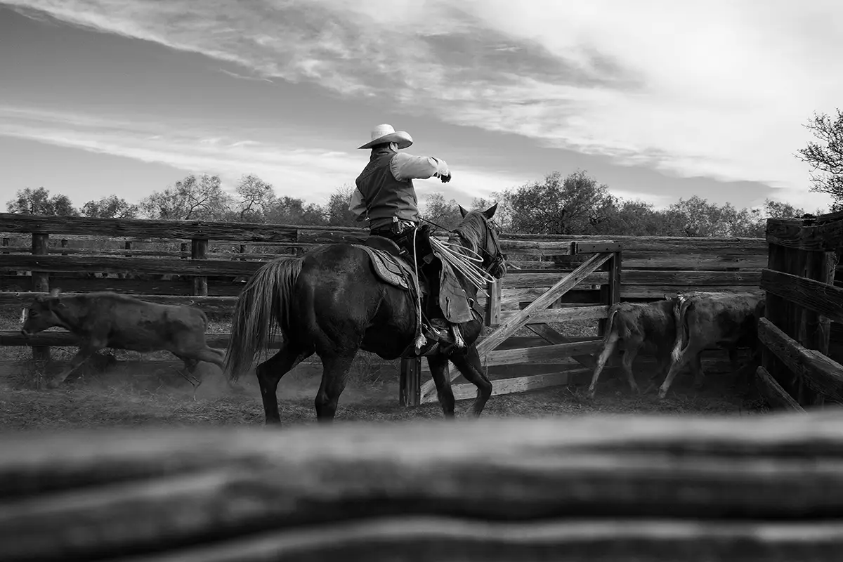 ©Penny De Los Santos