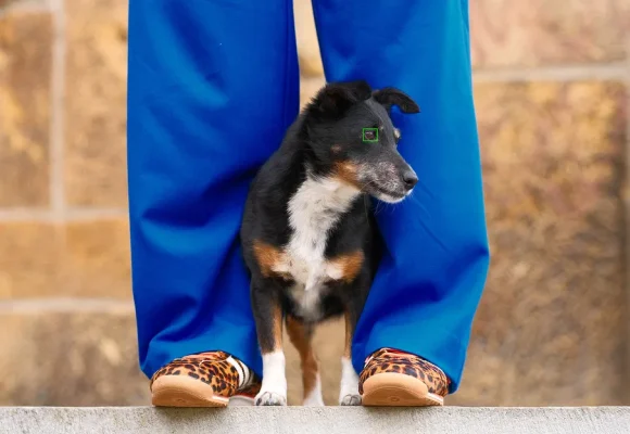X-T30-III_Subject-Detection_Elke-Vogelsang-96c772bd ©Elke Vogelsang